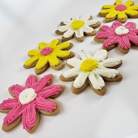 Cut Out Cookies - Colorful Daisies